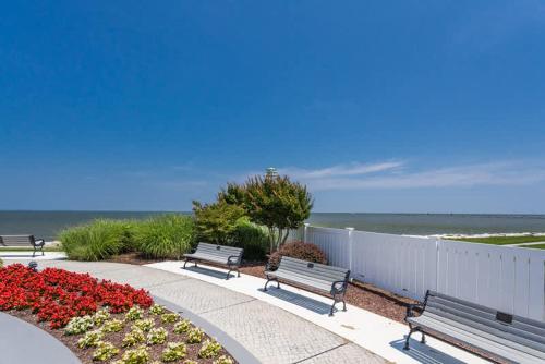 three benches sitting on a sidewalk near the ocean at Charming Beach House Top Floor - Walk Everywhere in North Beach