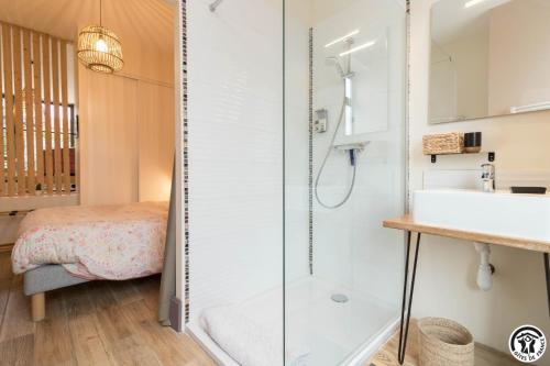 a bathroom with a shower and a sink at La grange des rampeaux in Saint-Lys