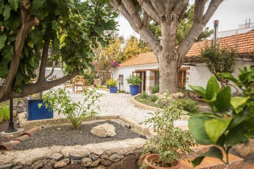 Zahrada ubytování EcoVerode Hotel Emblemático Vegetariano Vegano