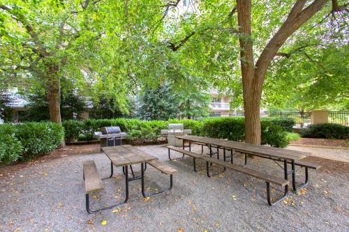 a park with two benches and a tree at This Apt is Perfect For Business Trips or a Relaxing Vacation in Arlington