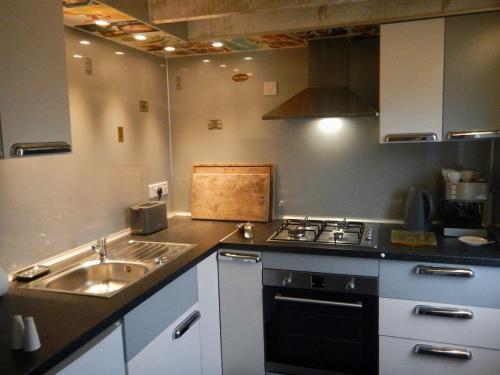 a kitchen with a sink and a stove at Adrigole Bay Studio Apartment in Adrigole