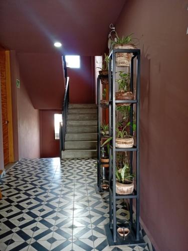 a hallway with a shelf with potted plants on it at Hotel Momotus Tuxtla - Desayuno opcional in Tuxtla Gutiérrez