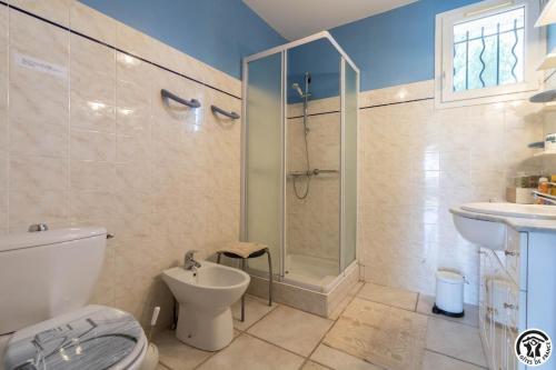 a bathroom with a shower and a toilet and a sink at Le clos bleu in Gauré
