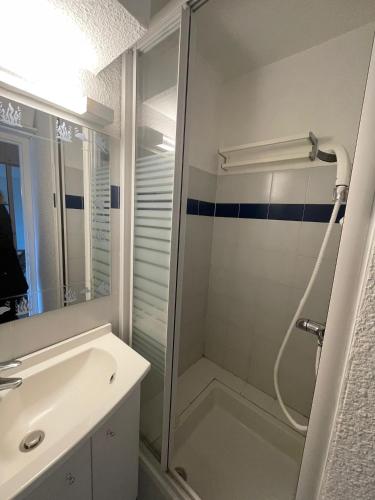 une salle de bain avec douche et lavabo dans l'établissement Studio LUMINEUX avec belle TERRASSE sur ESPACES VERTS, 100m PLAGE, à Carnac-Plage