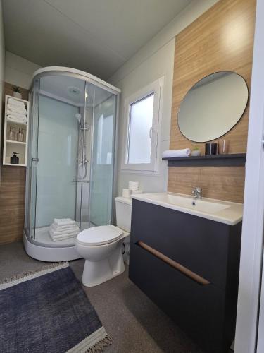 a bathroom with a shower and a toilet and a sink at Mobile house Jasna in Kalnik