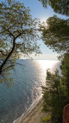 Squirrel Beach Front Villa, Metamorfosi