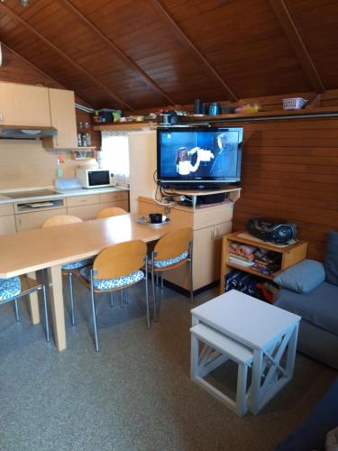 a living room with a table and a tv in a room at BRUNARICA VINTAGE 83 - nastanitev z vključenimi kopalnimi kartami - with Thermal Riviera Tickets included in Brežice