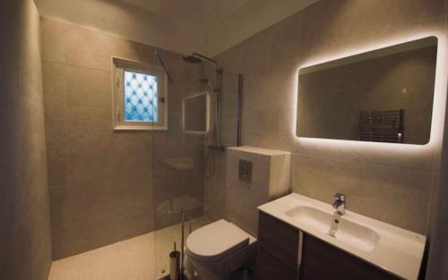 Villa prestigieuse avec piscine privée au cœur de Nice