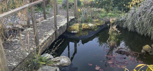 a small pond with a wooden bridge and some plants at Penn Ar Bed & Breakfast in Plozévet
