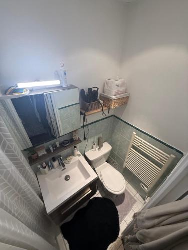 une salle de bain avec des toilettes blanches et un lavabo dans l'établissement Apparemment à 10 minutes de paris, à Alfortville