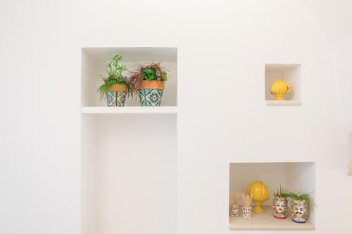 a shelf with potted plants on it at Dimore Trulli Holiday in Alberobello