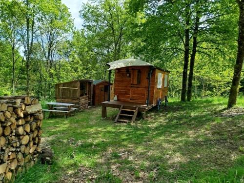Deux maisons en plein air dans les bois avec une table de pique-nique dans l'établissement Roulotte et Cabane Par Hasard, à Saint-Bressou