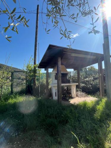 a bird house with a roof on the grass at Il Belvedere in Casperia