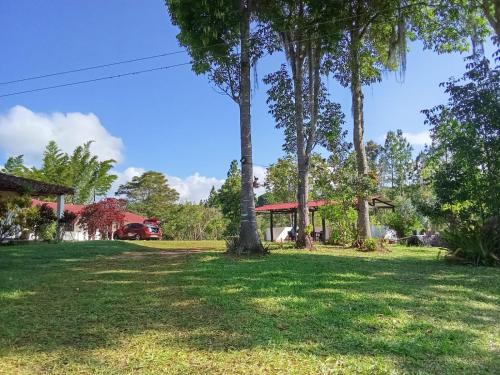 un cortile con palme e una casa di HOSPEDAJE CAMPESTRE VILLA PARAISO a Curití