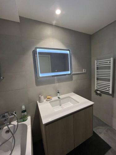a bathroom with a sink and a tv on the wall at BW St Lui Apartment in Belgrade