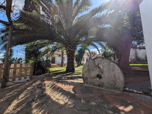 a stone sculpture in front of a palm tree at B&B Casa da Ponte Selmes Vidigueira in Selmes
