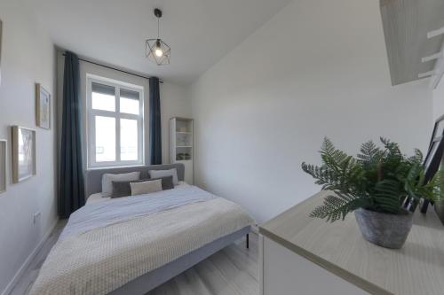 a bedroom with a bed and a potted plant at Lovely 2-bedroom apartment in centre of Bratislava in Bratislava