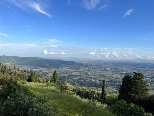 a view from the top of a hill with trees at Apartament Monastero in Cortona