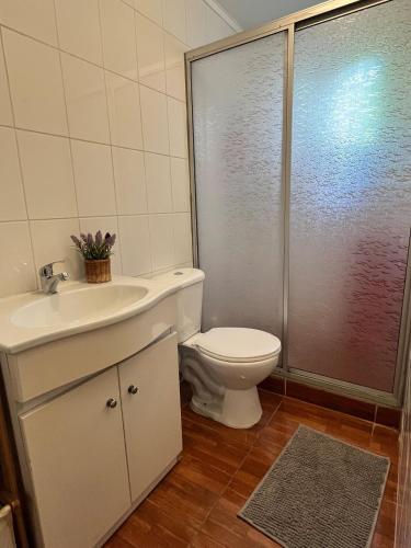 a bathroom with a toilet and a sink and a shower at Cabaña Andrea in Curacautín