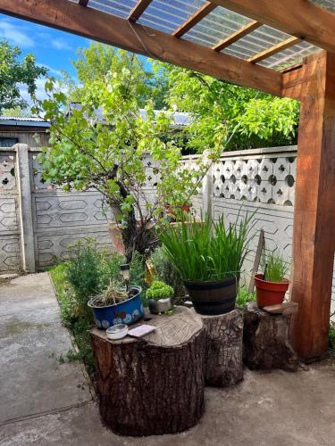 a garden with potted plants on logs and a wooden pergola at Cabaña Andrea in Curacautín