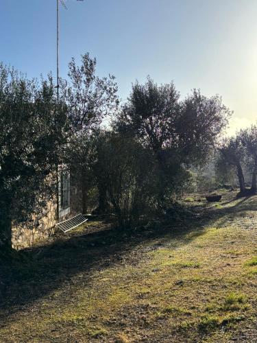 a field with trees on the side of a building at Casas Rurales Los Llanos in Fuentes de León