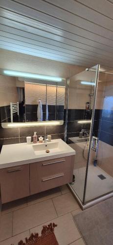 une salle de bain avec un lavabo et une douche dans l'établissement Les Rives du Léman, à Publier