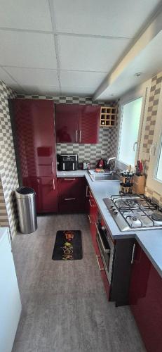 La cuisine est équipée de placards rouges et d'un four avec plaques de cuisson. dans l'établissement Les Rives du Léman, à Publier