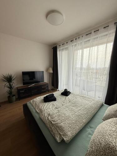 Cozy apartment in downtown