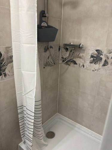 une douche avec une porte vitrée dans une salle de bain dans l'établissement Le Nid de Louise, near highway, à Mulhouse