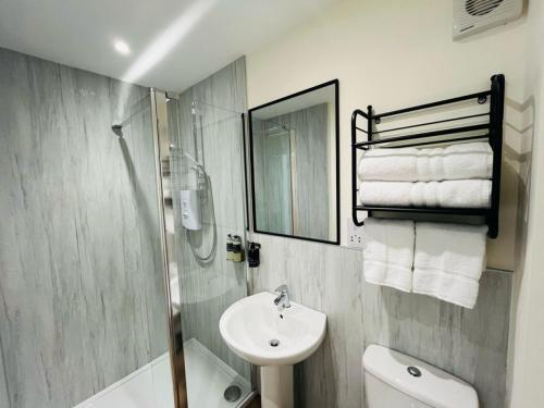 a bathroom with a sink and a toilet and a shower at Viewforth Studio No.4 in Fort William