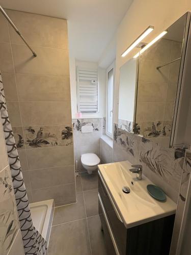 une salle de bain avec un lavabo, des toilettes et une douche dans l'établissement Emma's Nest! Very good location, quiet 4 people, à Mulhouse