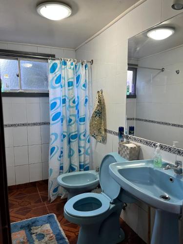 a bathroom with a blue toilet and a sink at Cabaña Esquina Malalcahuello in Malalcahuello