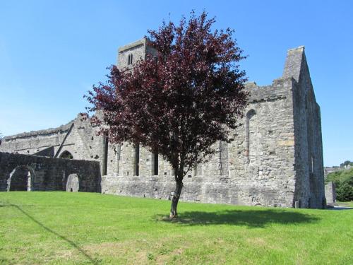a tree in a field in front of a castle at The Courtyard Retreat in Sligo
