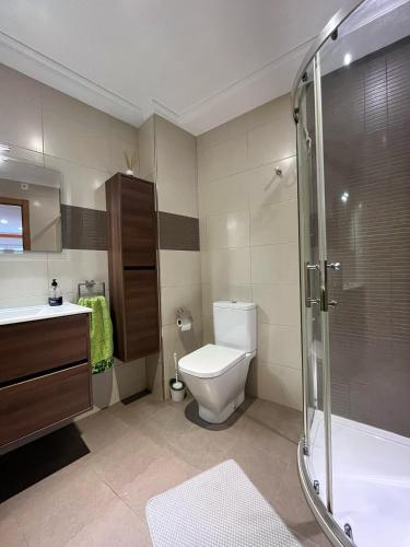 a bathroom with a toilet and a sink and a shower at Os Boliños in Camariñas