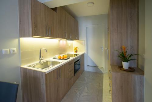 a kitchen with wooden cabinets and a sink at Regalo Apartments in Lygia