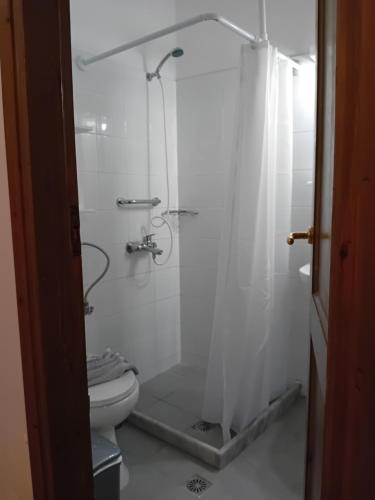 a bathroom with a shower and a toilet at Heliotopos Apartments in Tolo