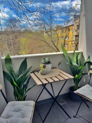 MAGNOLIA Apartment