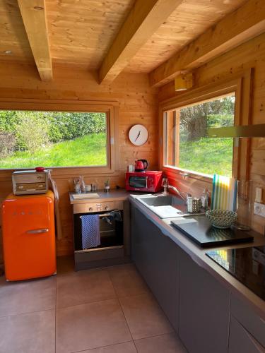 - une cuisine avec une cuisinière et un évier dans une cabine dans l'établissement Small cottage, à Contamine-sur-Arve