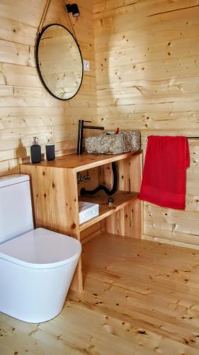 a bathroom with a toilet and a mirror and a tub at Recanto Terra Alta in São Roque do Pico