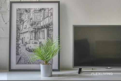 - une télévision assise sur une table à côté d'une plante dans l'établissement Flexliving - Onebedroom - Mademoiselle, à Paris