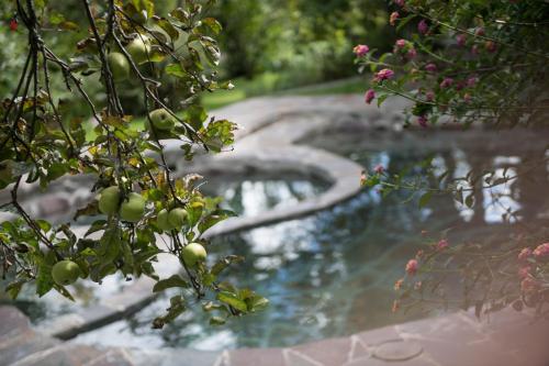 Andenia Boutique Hotel, Sacred Valleyにある庭
