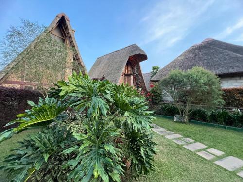 a house with thatched roofs and a garden with trees at Masaka Cultural Resort in Masaka
