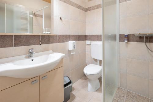 a bathroom with a sink and a toilet at Vila Sofia in Tržič