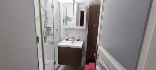 une salle de bain avec un lavabo et une douche avec un miroir dans l'établissement Bergerac Chambre d'hôte oiseaux de paradis, à Bergerac