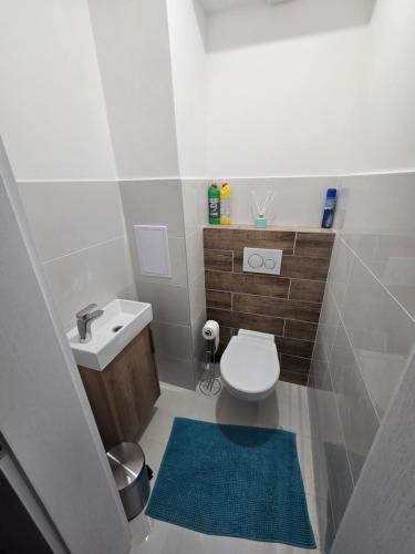 a small bathroom with a toilet and a sink at Apartmán Mária in Bardejov