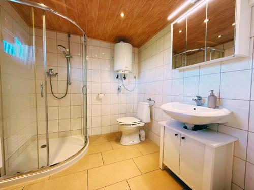 a bathroom with a shower and a sink and a toilet at Ferienwohnung 1 Wald & See in Zirchow