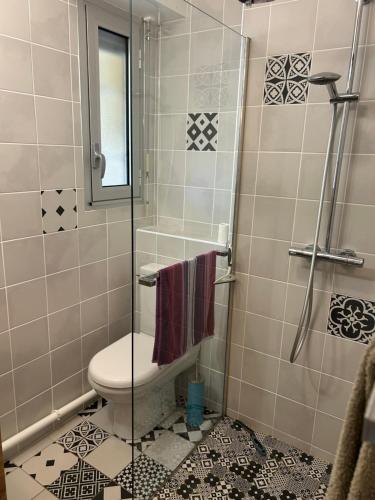 une salle de bain avec toilettes et douche dans l'établissement Appartement Valescure au cœur des golfs, à Saint-Raphaël