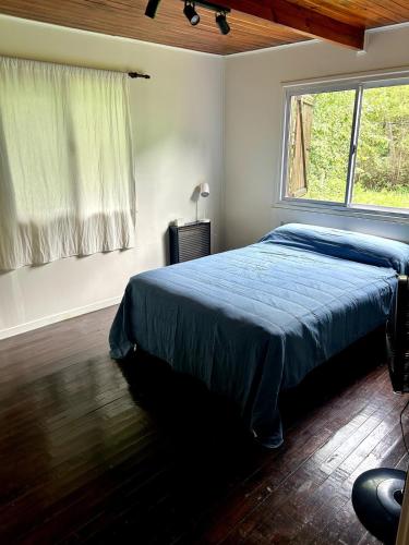 a bedroom with a blue bed and a window at Las Luciérnagas del Delta 2 in Tigre