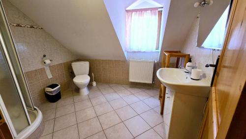 a bathroom with a toilet and a sink at Chalupa u Drába in Oščadnica
