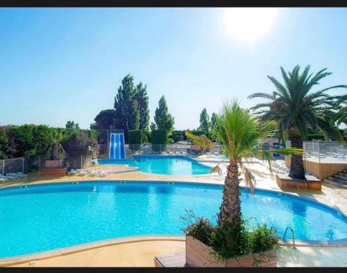 une grande piscine avec deux palmiers et une fontaine dans l'établissement Le Mobil Home chez Cathy - 6pers, à Vic-la-Gardiole